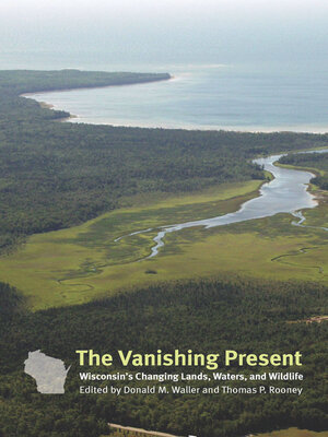 cover image of The Vanishing Present